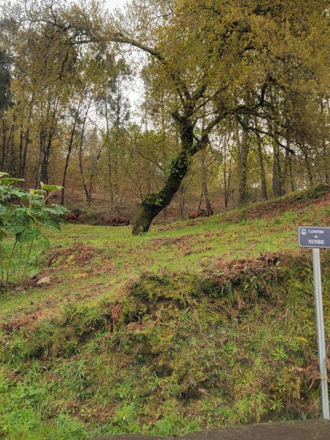 Quinta Da Picouta Villa Arcos de Valdevez Dış mekan fotoğraf