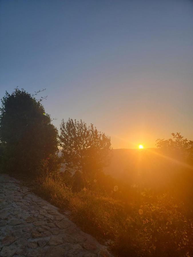 Quinta Da Picouta Villa Arcos de Valdevez Dış mekan fotoğraf