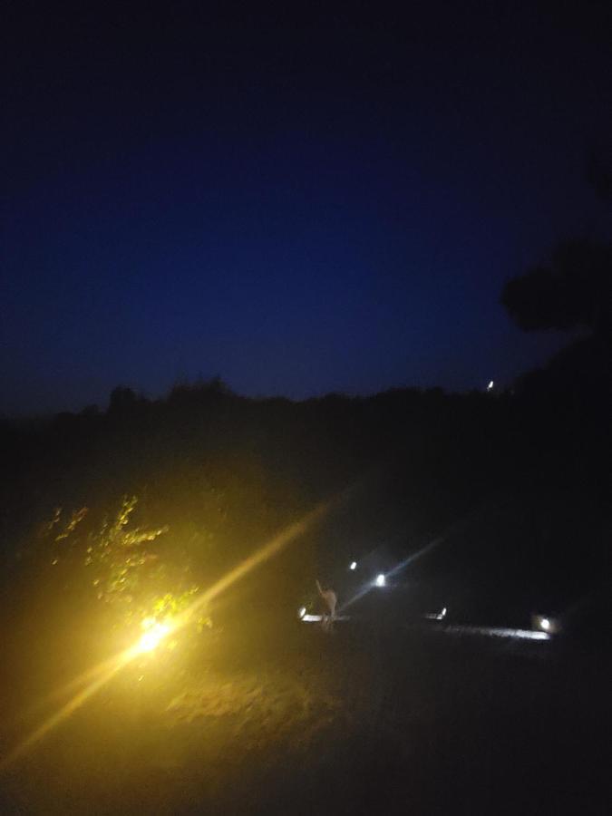 Quinta Da Picouta Villa Arcos de Valdevez Dış mekan fotoğraf